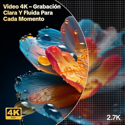 Abstract colorful flower with 4K video quality text.