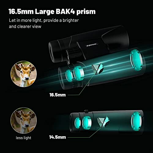 Comparison of 16.5mm large BAK4 prism in binoculars.