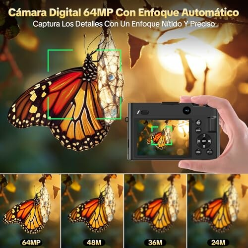 Digital camera 64MP capturing a butterfly with autofocus.