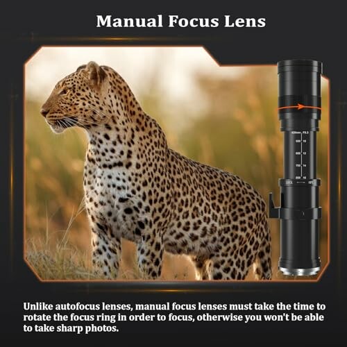 Leopard with a manual focus camera lens